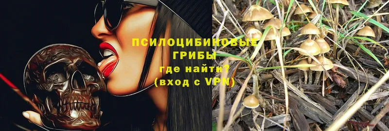 Псилоцибиновые грибы MAGIC MUSHROOMS  Сортавала 